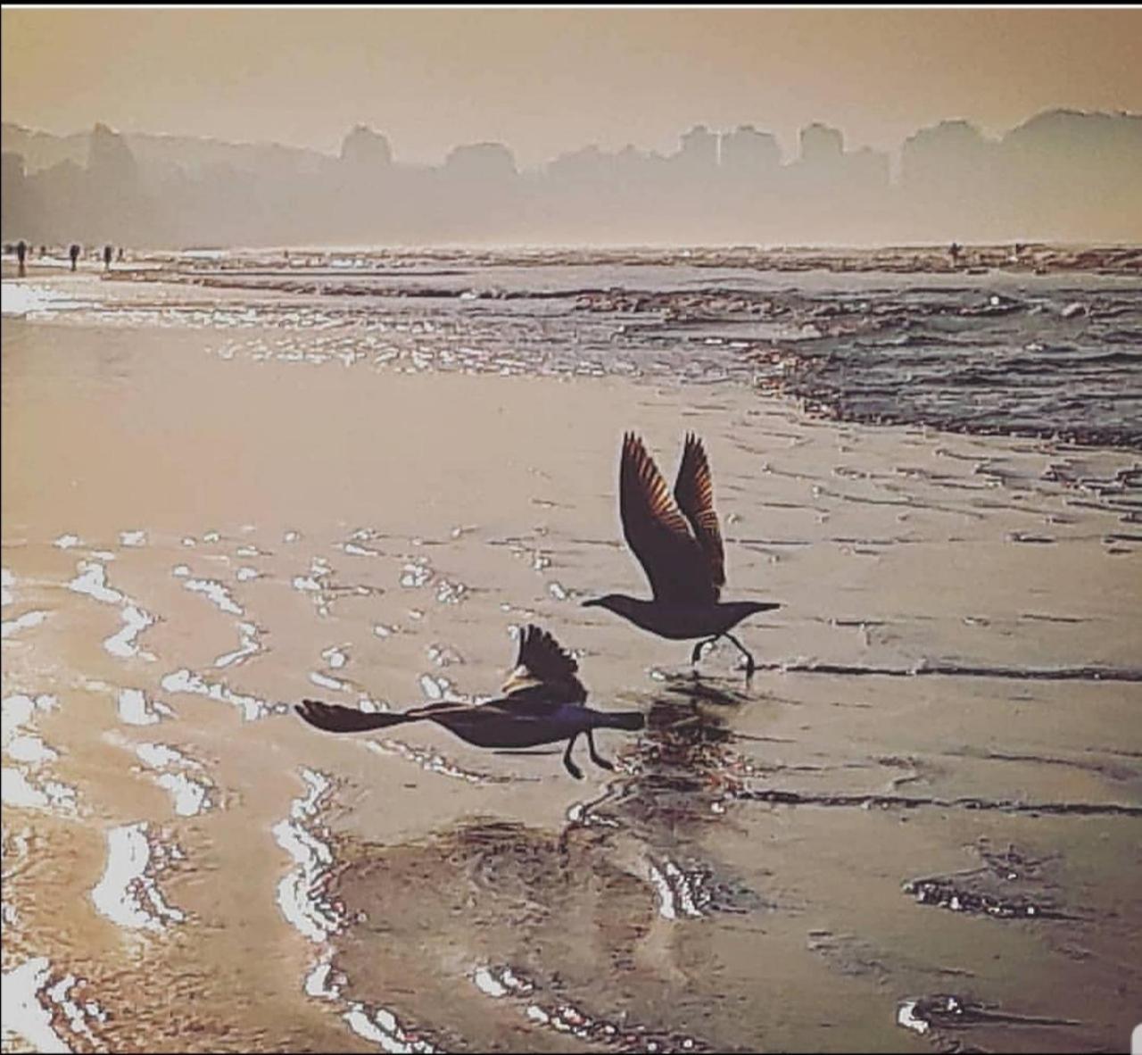 Requinte E Sofisticacao Praia Grande (Santos)